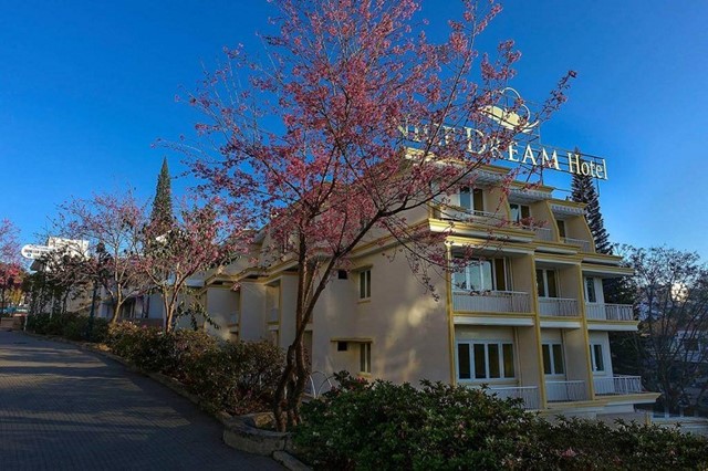 Khách sạn Nice Dream Đà Lạt